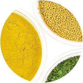 bitkisel baharat üreticisi iç harç karışımları kavrulmuş soğan Polonya